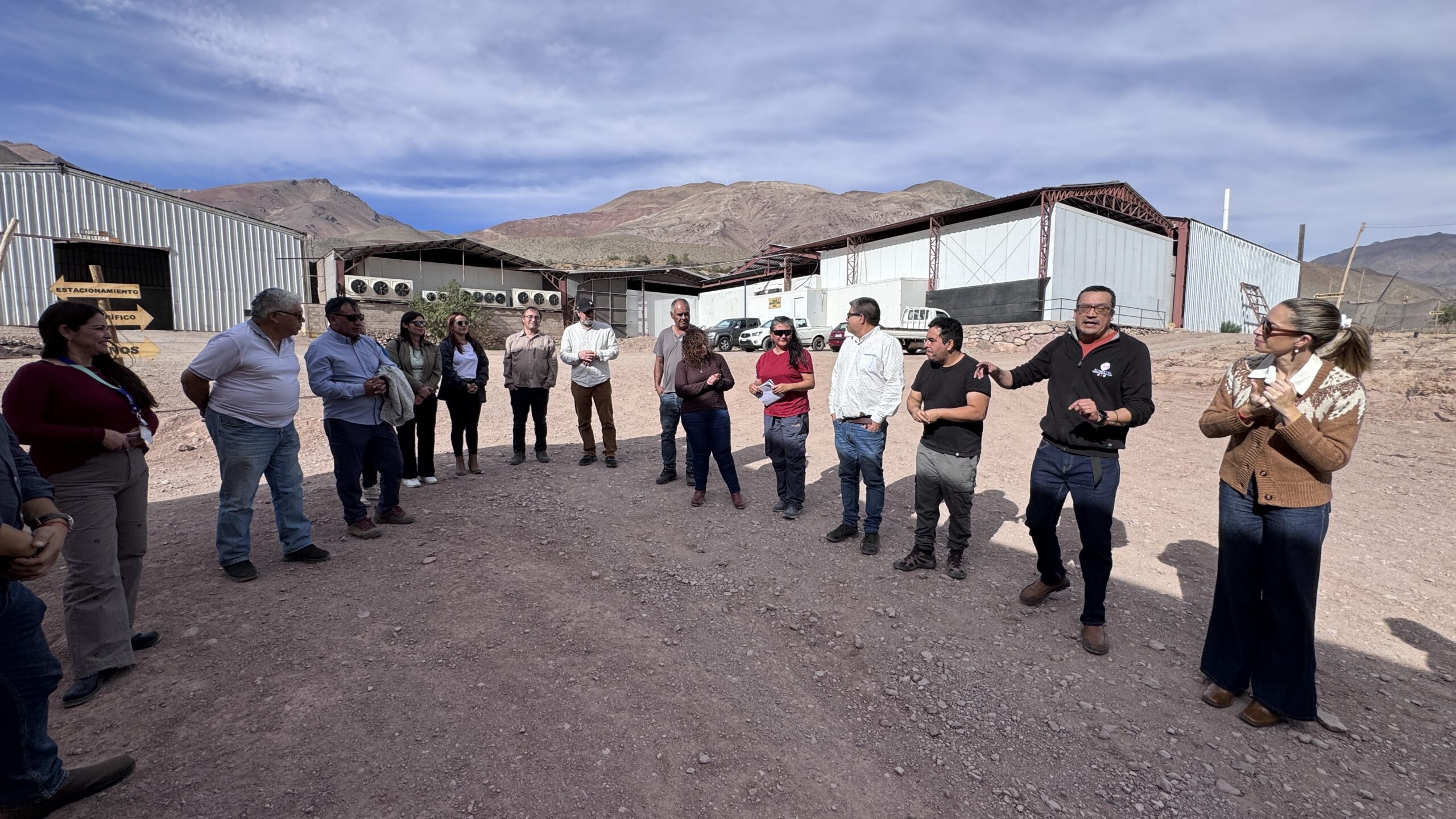 Trabajo colaborativo de Elemental Advisor